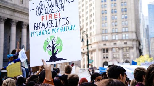 Z protestů Fridays for Future