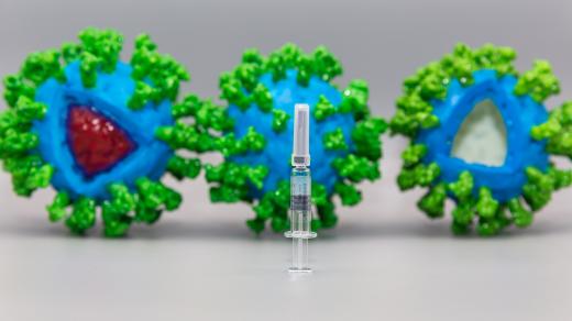 Koronavirus