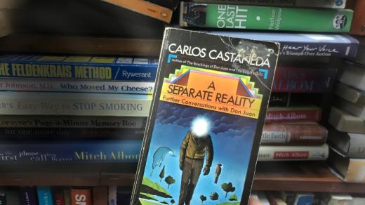 Carlos Castaneda - A Separate Reality