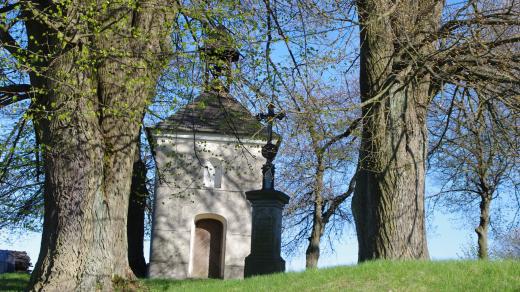Mariánskou kapli z roku 1862 chrání mohutné lípy