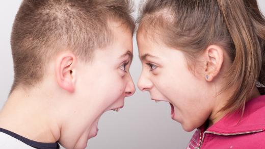 Taky se někdy hádáte se sourozencem?