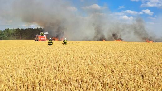 Na požár pole u Dobřan byl vyhlášen zvláštní stupeň požárního poplachu
