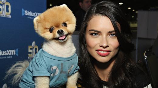 Petfluencer Jiffpom a modelka Adriana Lima