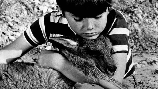 Seriál Skippy (1968)
