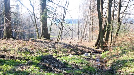 Studánka u Dolního Bláhovska, Vysočina