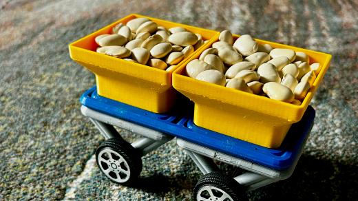 Fazole na dětském vozíku