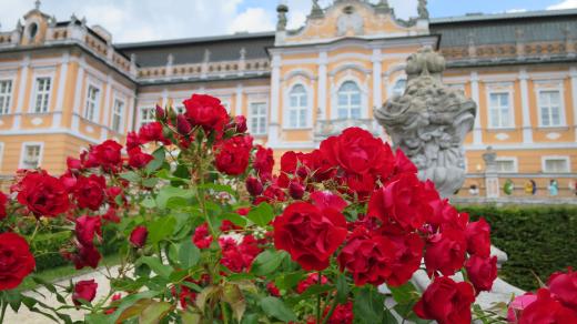 Francouzská zahrada na předním nádvoří zámku