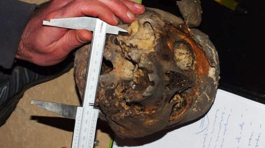 První zkoumání lebky Magdaleny Grambové