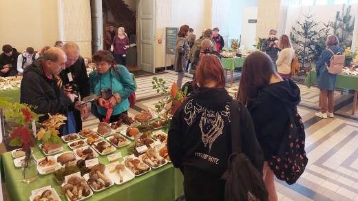 Stovky druhů hub ze všech koutů východních Čech si prohlédnete na výstavě v Hradci Králové