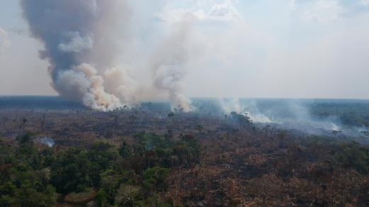 Odlesňování amazonského pralesa v Brazílii. Snímek je z 18. srpna 2021
