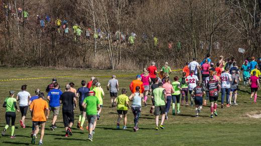 Běžecký závod na 8 km Grand Prix Dříteč (2019)