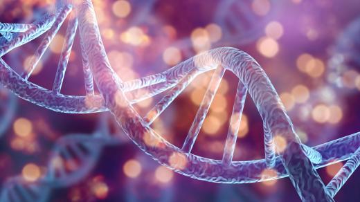 Takhle nějak vypadá lidská DNA, když bychom ji zvětšili