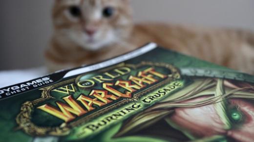 World of Warcraft: Burning Crusade