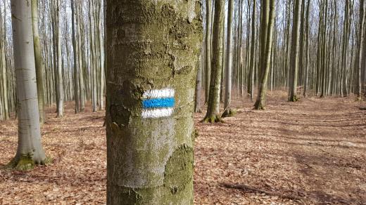 Turistická značka, les, cesta, turistika, výlet. Ilustrační foto