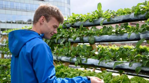 Jan Tesař, hydroponická farma na střeše OC Nový Smíchov