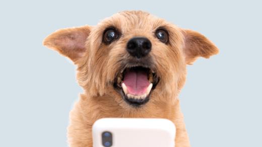 Chtěli byste, aby vám váš pes volal?