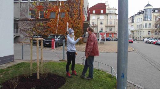 Okrasná jabloň jako vzpomínka na 75. výročí zahájení vysílání Čro ČB