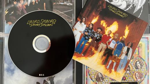 Lynyrd Skynyrd: Street Survivors
