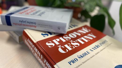 Slovník spisovné češtiny a jiné knihy o českém jazyce. (ilustrační snímek)