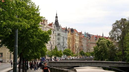 Stromy, Praha, ulice (ilustrační foto)