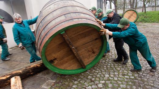 Parta pivovarských bednářů z Plzně rozhoupává půltunový dubový pivní sud. 