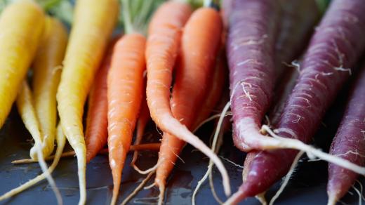 Mrkev (ilustrační foto)