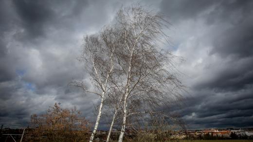 silný vítr (ilustrační foto)