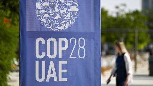 COP28
