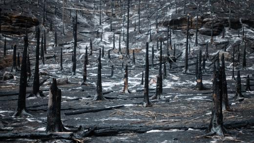 Následky požáru v Českém Švýcarsku. Na konci Pravčického dolu krajina vypadala jak z postapokalyptického filmu.