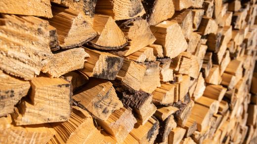 palivové dřevo, ilustrační foto