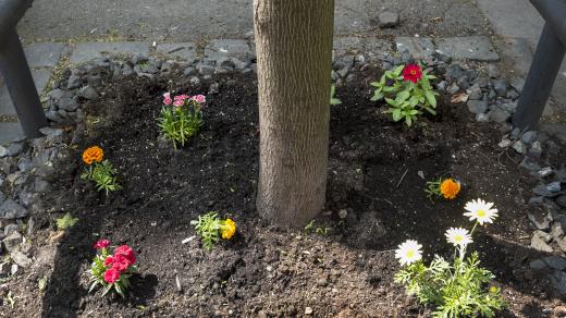 Starostka Hujová se kritice brání tím, že radnice podobné aktivity podporuje, vadí jí však, pokud probíhají nekontrolovaně.